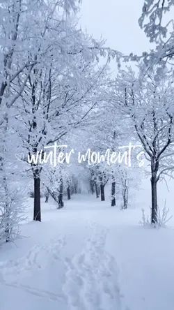 Winter moment’s