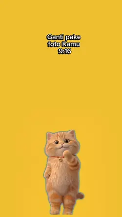 Kucing joged