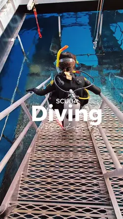 Diving Adventures