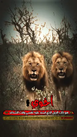 حط صورت سندك