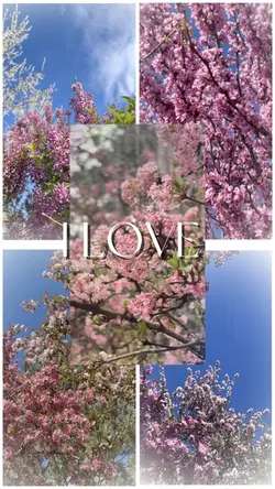 Spring vibes 