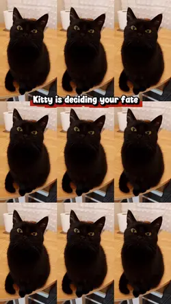 Kitty is deciding..