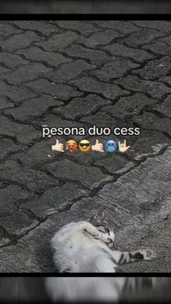 pesona dua cess