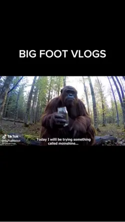 BIG FOOT VLOGS