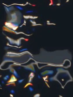 your profile 