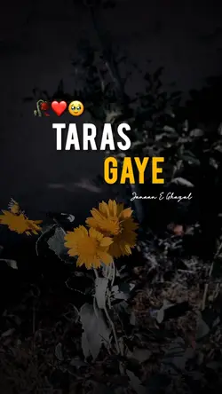 Taras Gaye🥀✨
