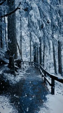 nature hiver