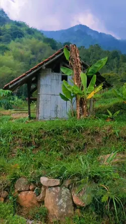 main ke sawah