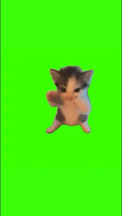 cat scuba dancing