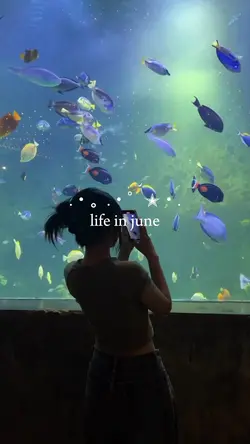 life in june
