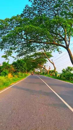 Bike Ride 