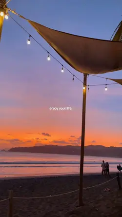 enjoy your life