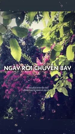 Ngày rời chuyến bay