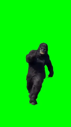 GORILLA RUNNING