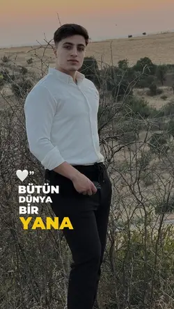 🕊️