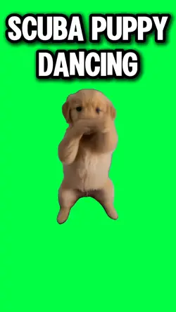 SCUBA PUPPY DANCING