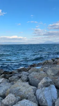 yeni şablon 