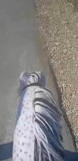 skoki