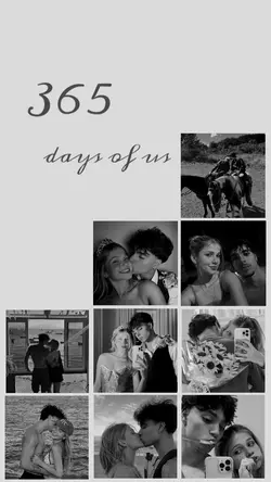 365 dias com você
