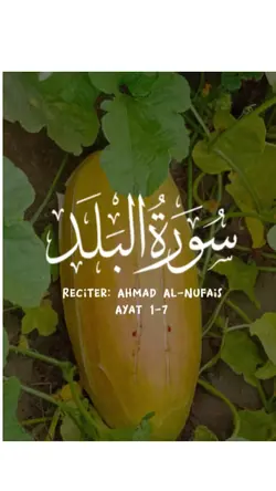 سورہ البلد قرآن کریم