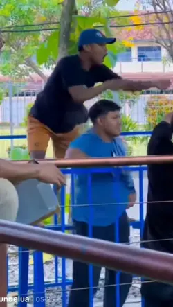 kicau mania