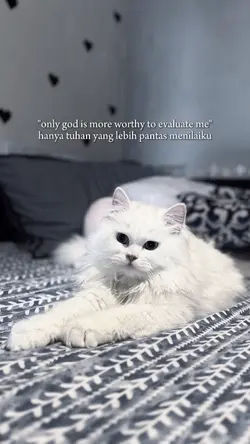 bahan story 