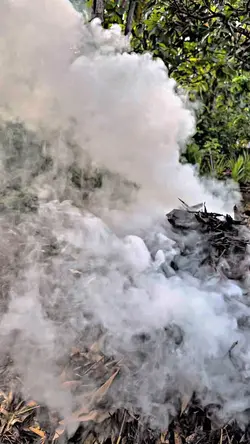 Slowmo 1 Video