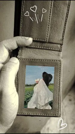 Money Bag Treand