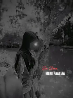 Baarishein