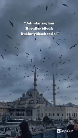 Viral şablon geldi 