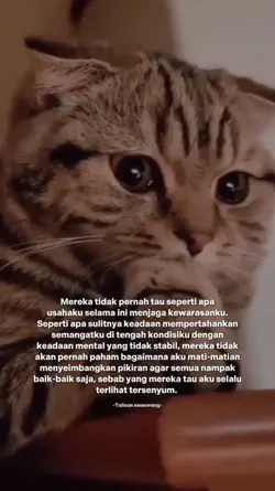 Quotes 