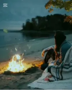 Silent shore 