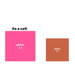 its a cat! meow