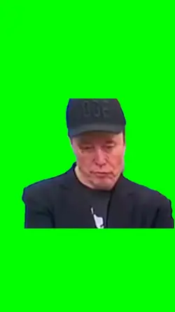 elon glitch 2