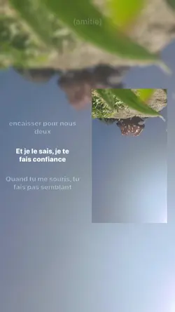 reine - dadju