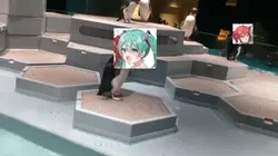 みんな仲良くペンギン祭り
