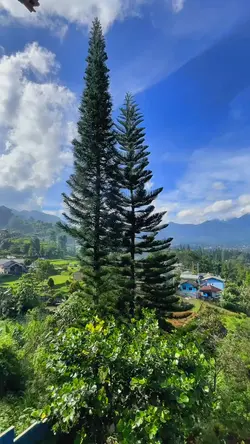 Pemandangan 
