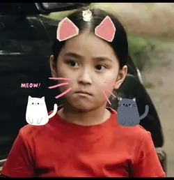 Miaw Kat 