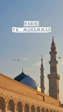 Habibi Ya Muhammad