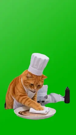 DUMMY PUSS CHEF