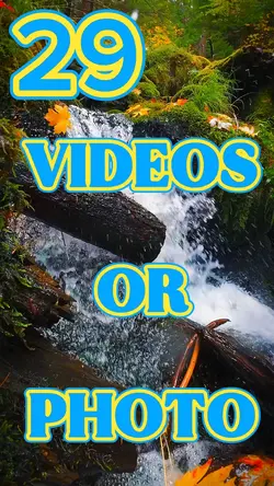29 Videos Or Photos