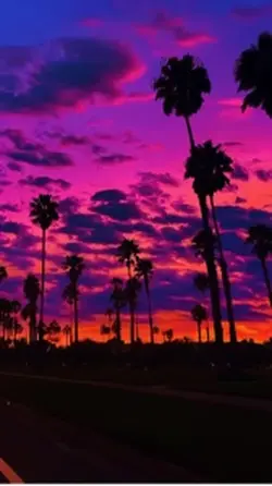 Venus lyrics