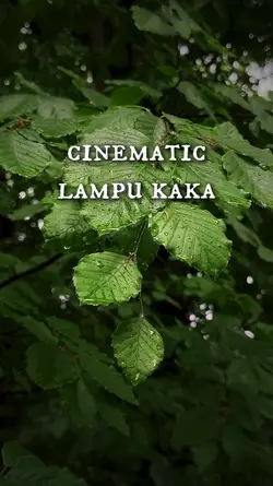 lampu kaka