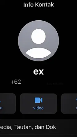 ex