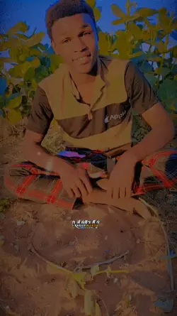 تصميم دكي بيلا 