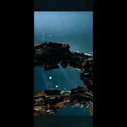 Bumblebee <3