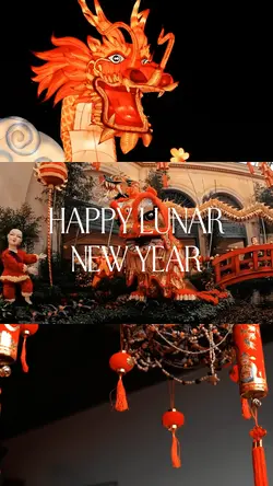 Lunar New Year