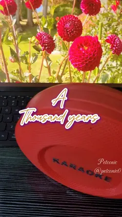 A thousand years