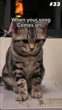キャップ