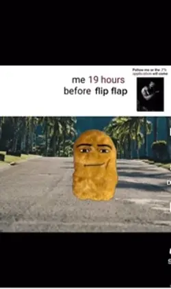 Mr flip flap🤑🤑🤑